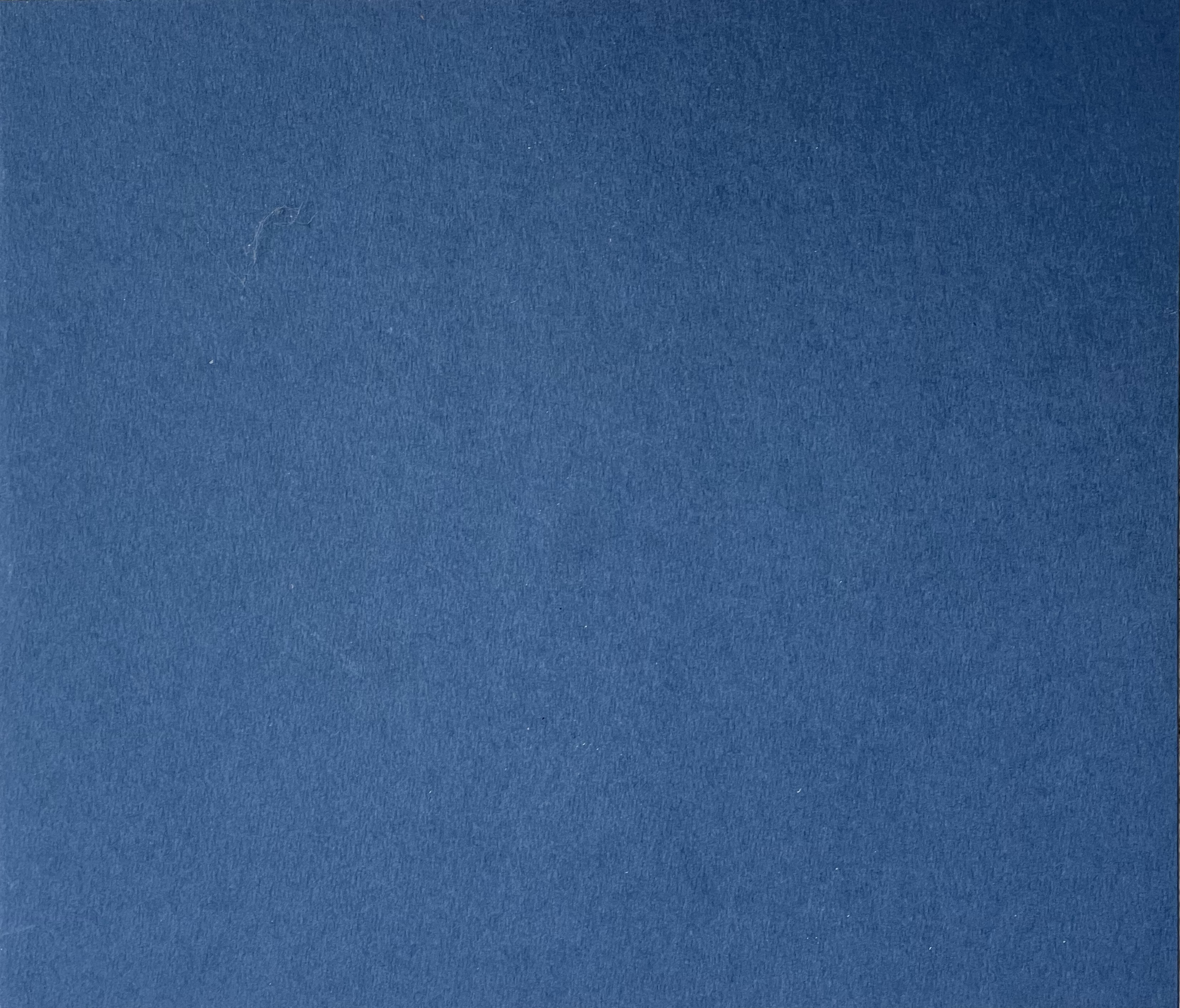 Garde bleue