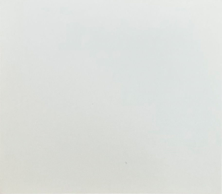 Garde blanche