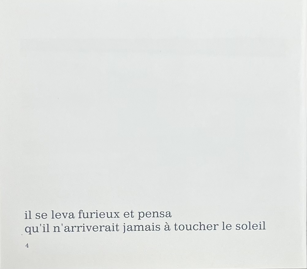 Texte Furieux