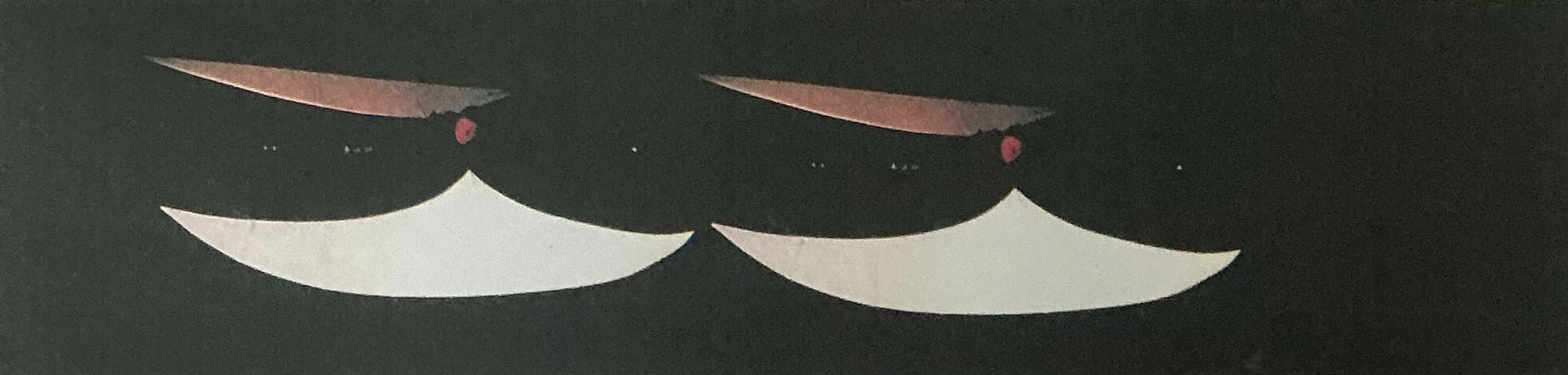 L'Ombre des Étoiles 2